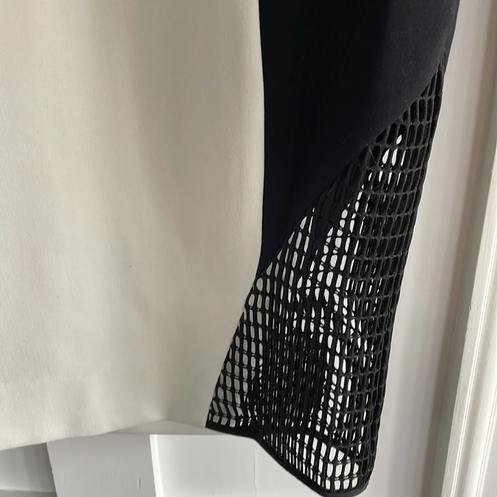 Milly Helix Mesh Skirt - Picture 6 of 15